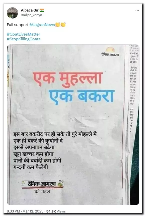 dainik jagran hindi news language